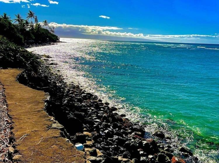 Maui Beach House B & B