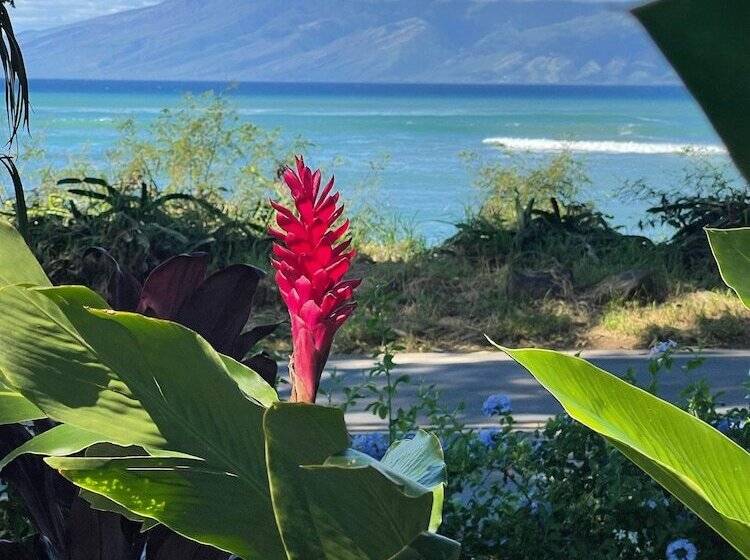 Maui Beach House B & B