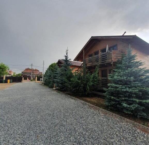 Пансион Daiana Residence Cabane