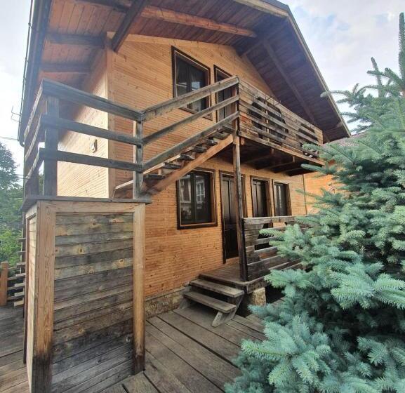 Пансион Daiana Residence Cabane
