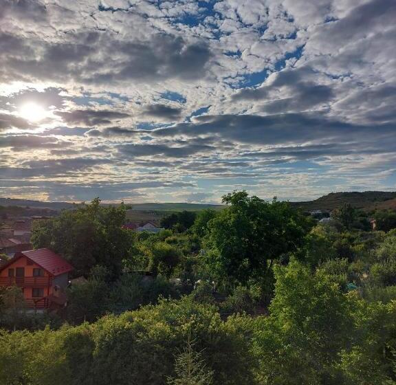 Пансион Daiana Residence Cabane
