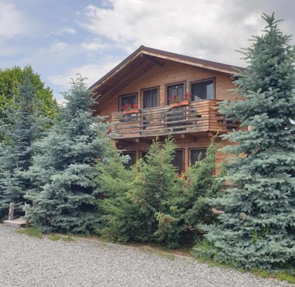 Пансион Daiana Residence Cabane