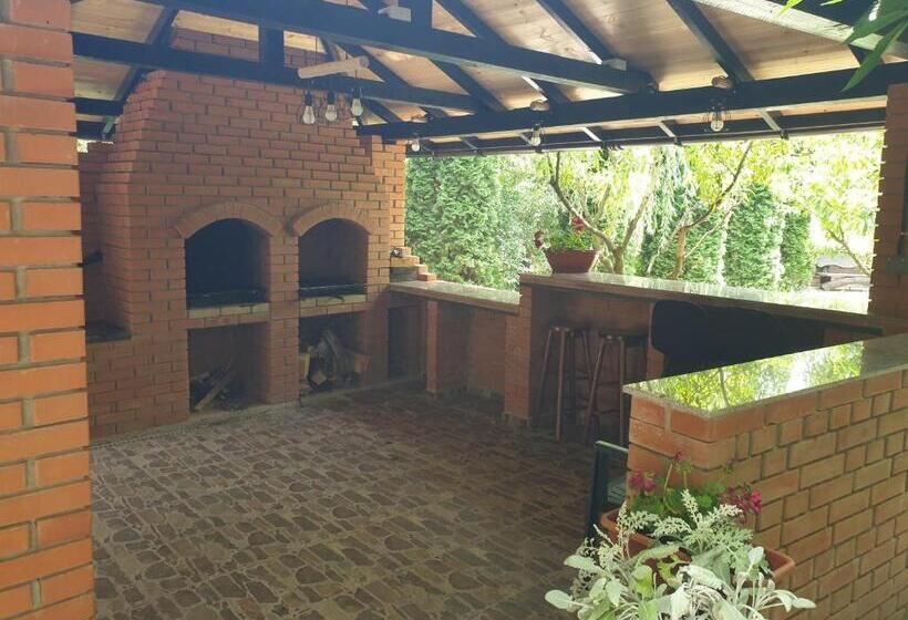 Пансион Daiana Residence Cabane