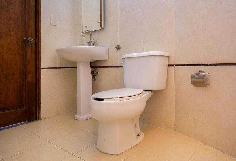 Отель Casa Del Virrey & Suites