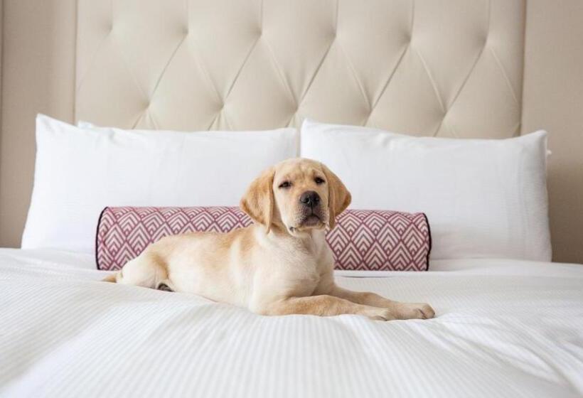 Отель Fairmont Washington Dc Gold Experience