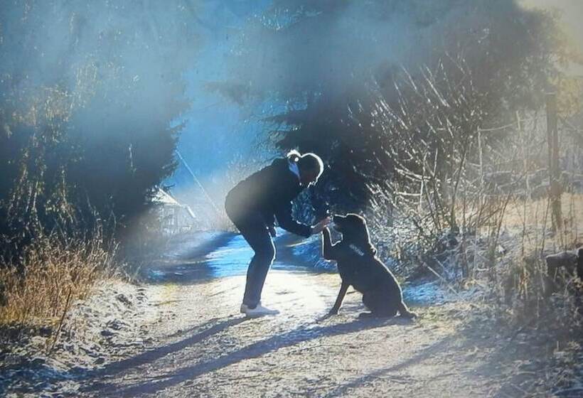 & Gasthof Hubertushöhe   Ihr Hotel Für Urlaub Mit Hund