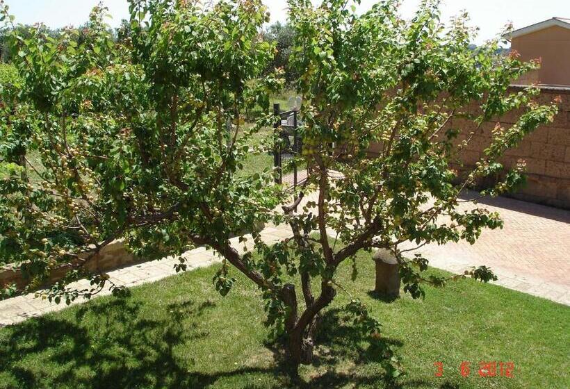 Agriturismo Casale Di Gricciano