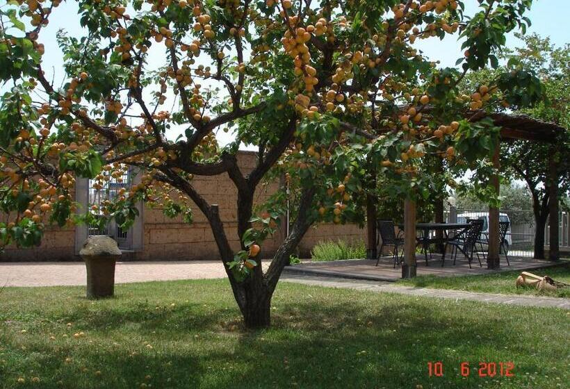 Agriturismo Casale Di Gricciano