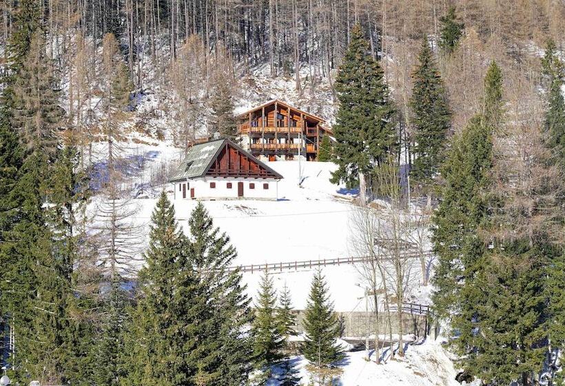 Arlecchino   Dada Hotels