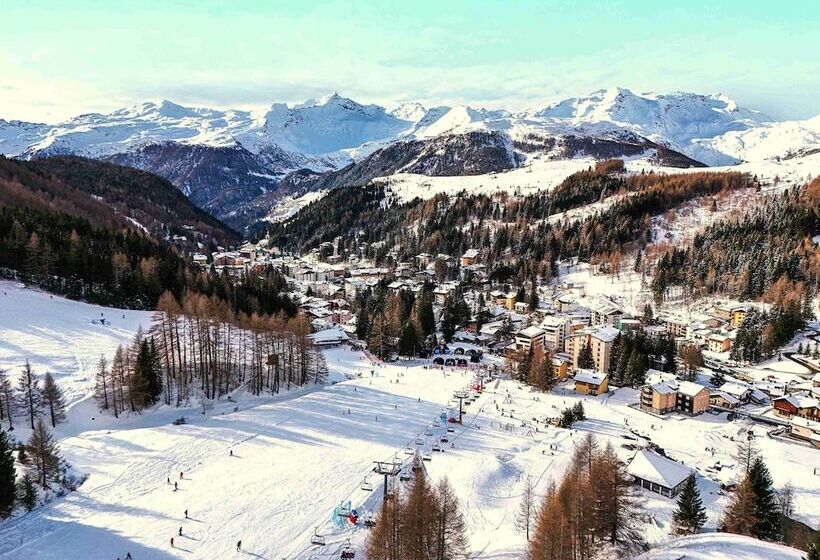 Arlecchino   Dada Hotels