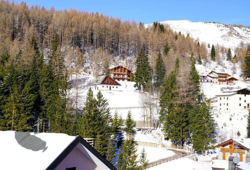 Arlecchino   Dada Hotels