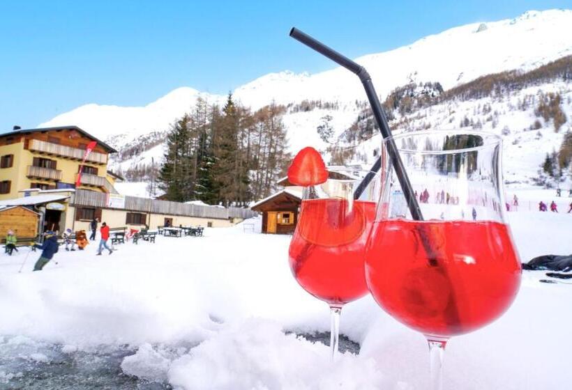 Arlecchino   Dada Hotels