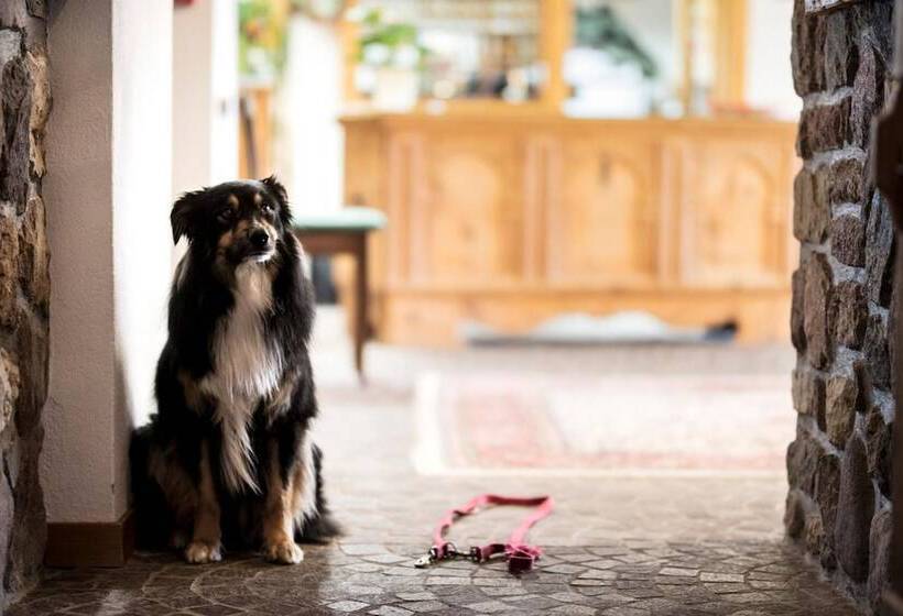 Bienvivre Hotel Los Andes