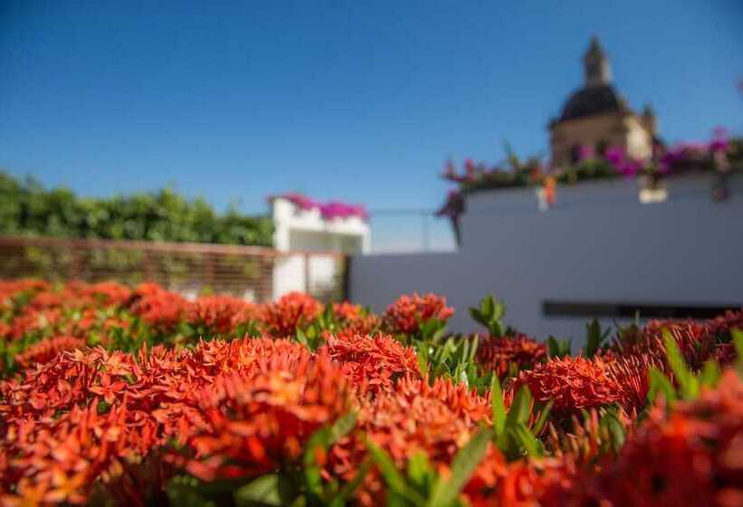 Casa Claver Loft Boutique