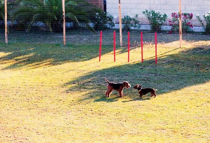 ホテル African Beach