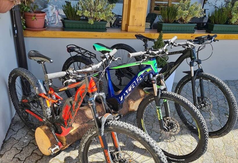 酒店 Albergo Canella