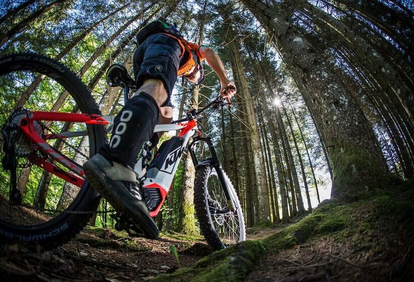 酒店 Albergo Canella