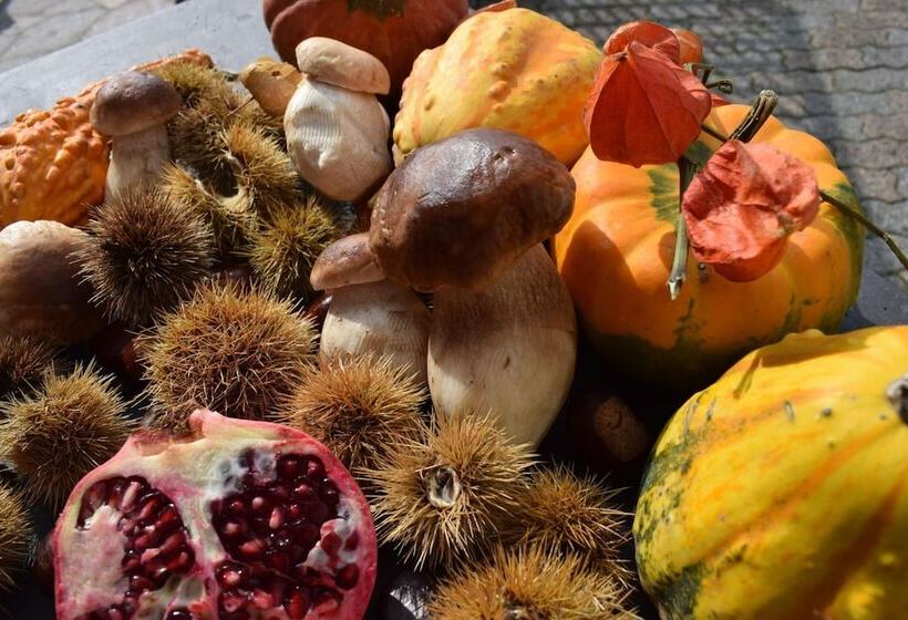 酒店 Albergo Canella