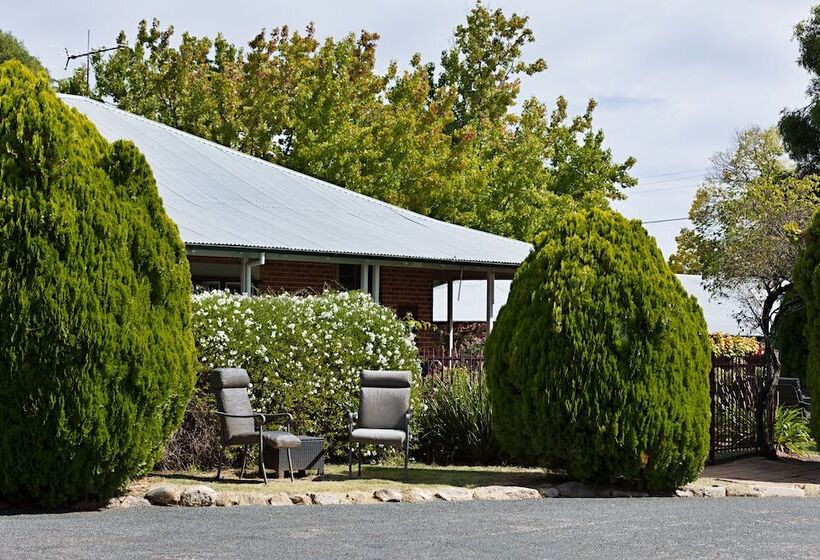 酒店 Beechworth Carriage Motor Inn