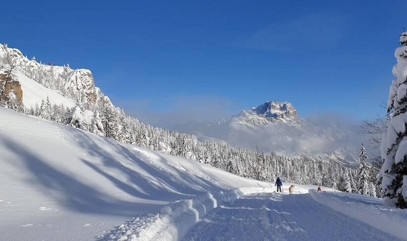 Отель Bellaria Cortina D Ampezzo