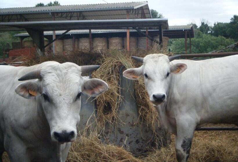 בית מלון כפרי Borgo San Faustino Country Relais And Spa