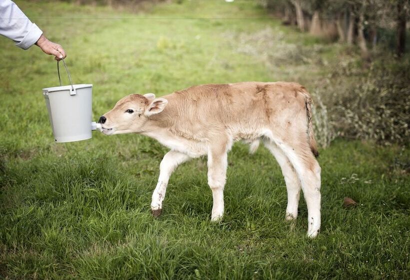 בית מלון כפרי Borgo San Faustino Country Relais And Spa