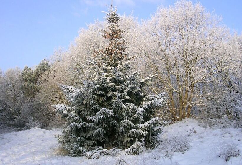 בית מלון כפרי Cafe Restaurant Duinzicht