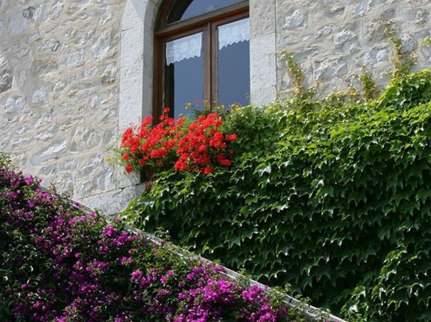 فندق Castello Miramare