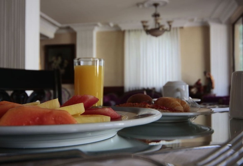 호텔 Castilla Real