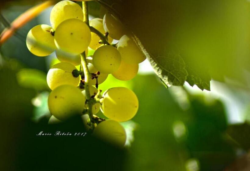 هتل Cateski Dvorec