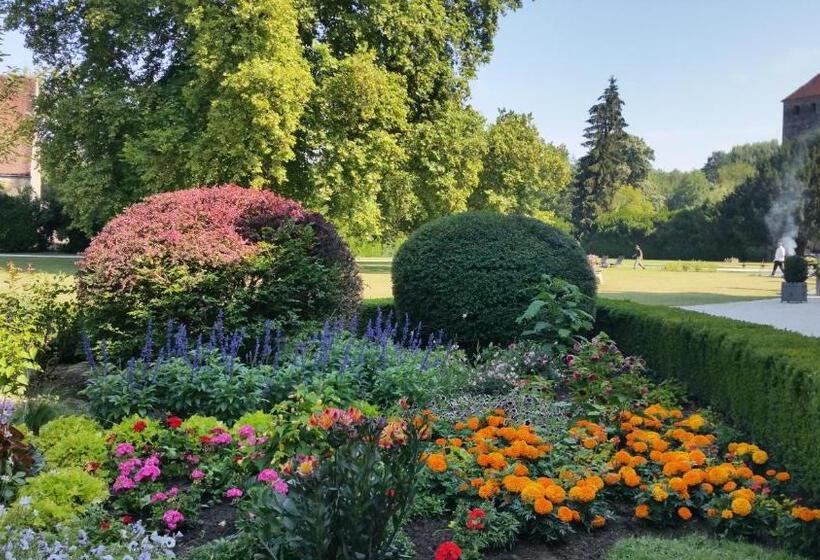 בית מלון כפרי Château De Vault De Lugny