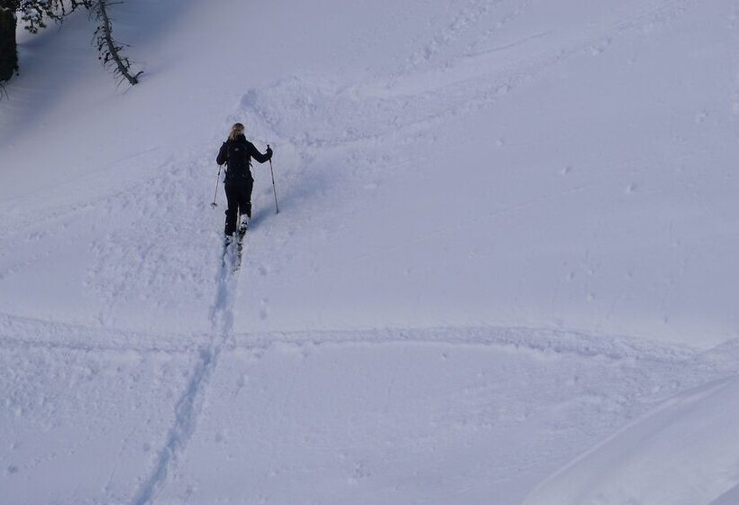 Отель Continental Dolomites