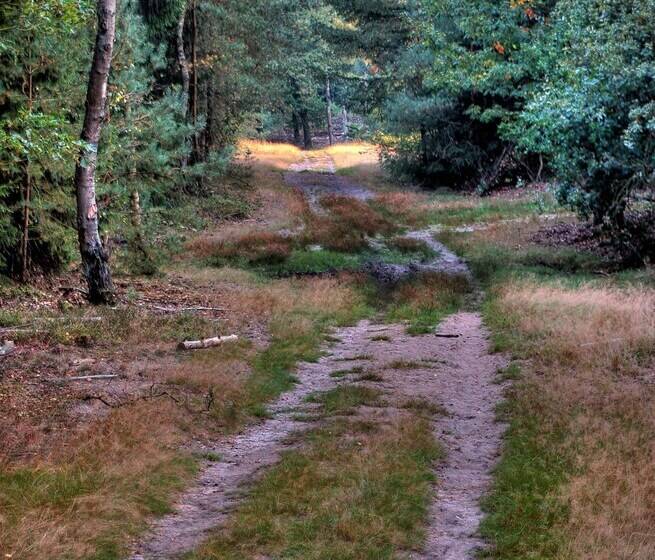 هتل De Stoppelberg