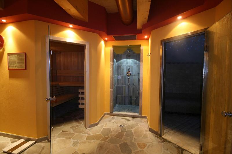 Отель Des Alpes