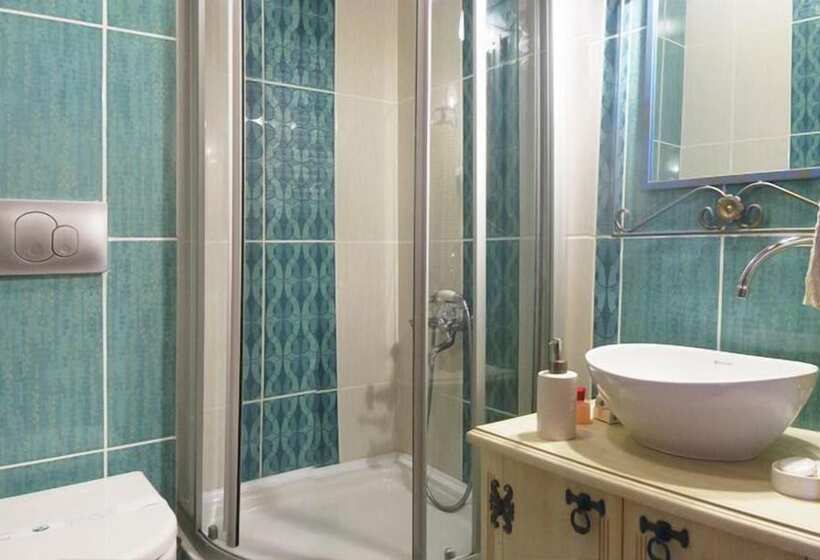 בית מלון כפרי Des Etrangers   Special Category