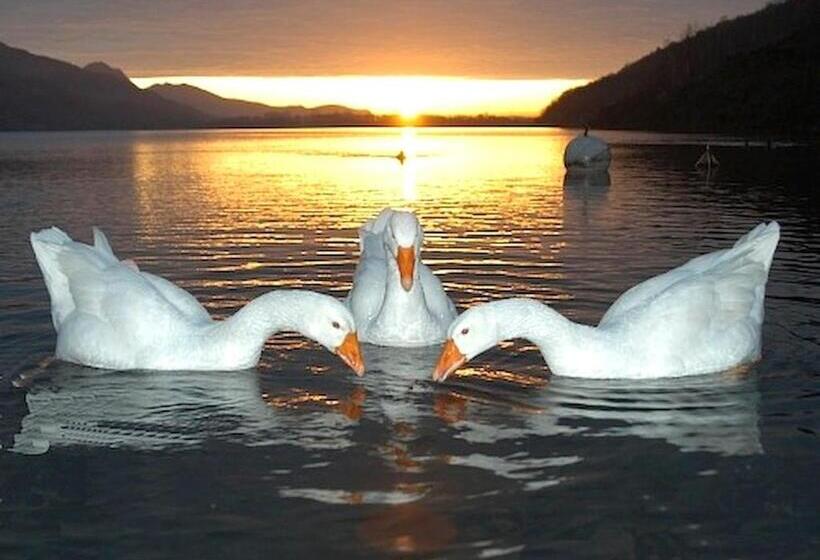 בית מלון כפרי Due Palme