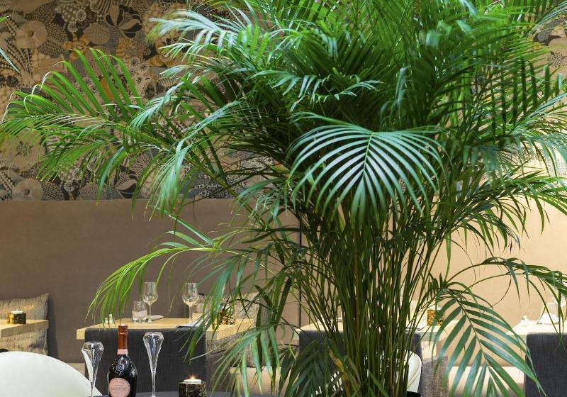 هتل Edgar Hôtel & Spa   Table Gastronomique