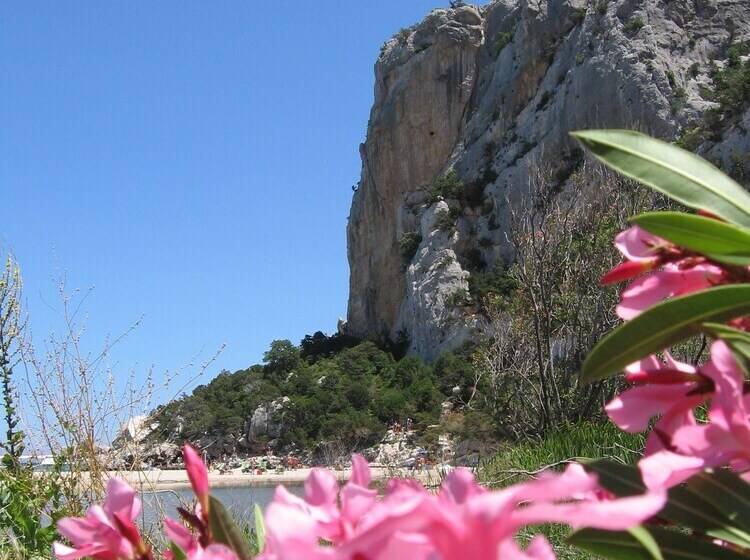 酒店 Giardino Corte Rubja