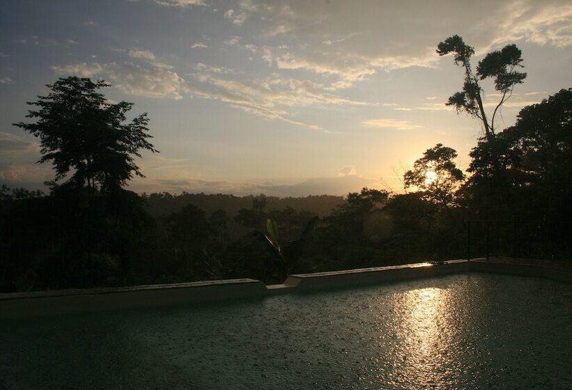 هتل Hamadryade Lodge