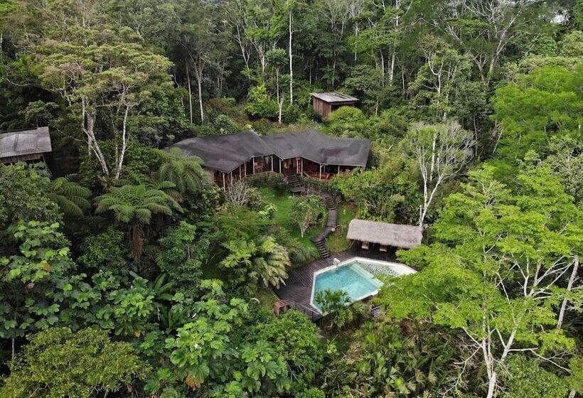 هتل Hamadryade Lodge