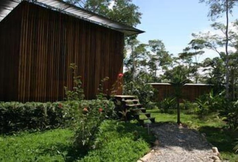 هتل Hamadryade Lodge