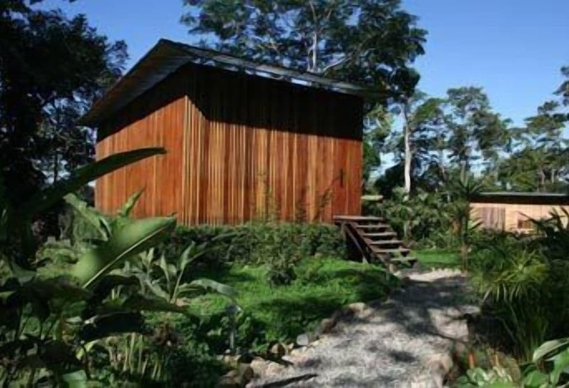 هتل Hamadryade Lodge