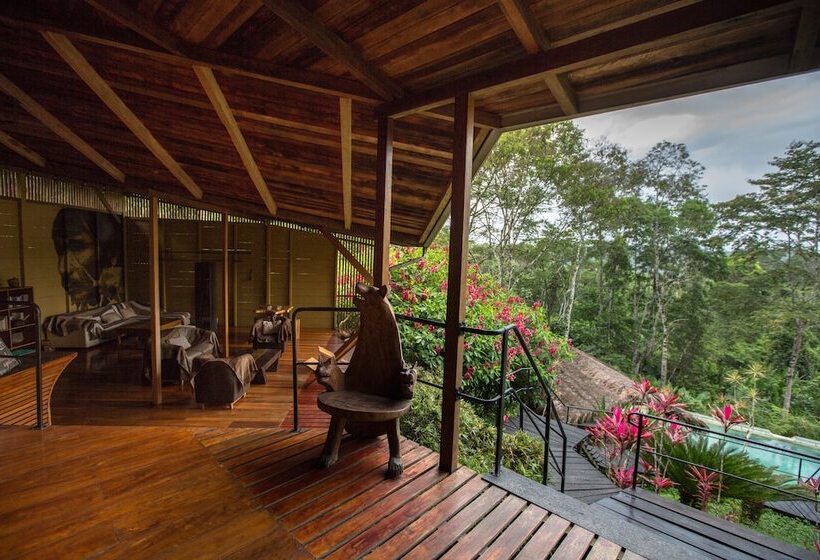 هتل Hamadryade Lodge