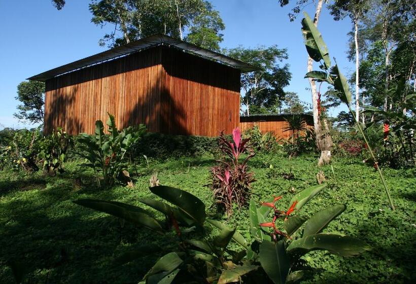 هتل Hamadryade Lodge