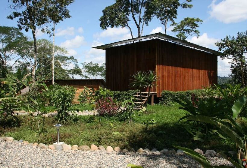 هتل Hamadryade Lodge