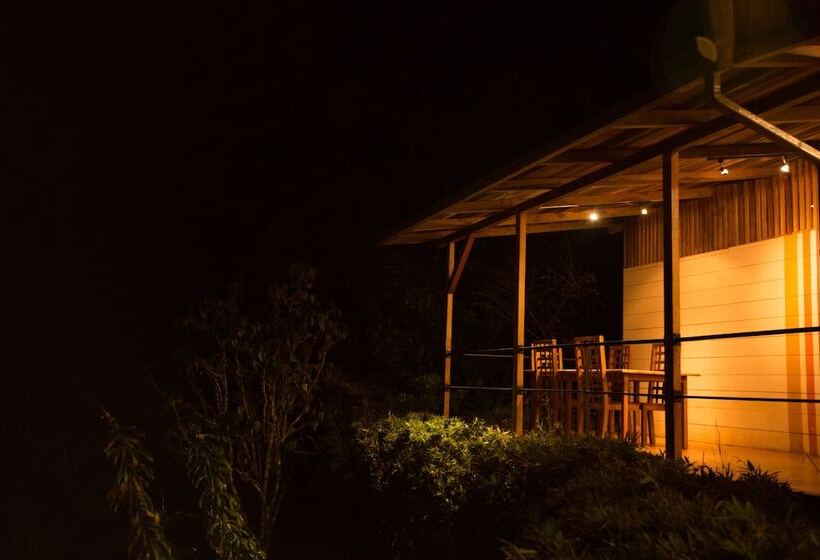 هتل Hamadryade Lodge