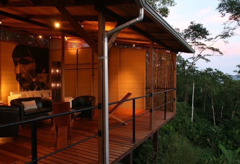 هتل Hamadryade Lodge