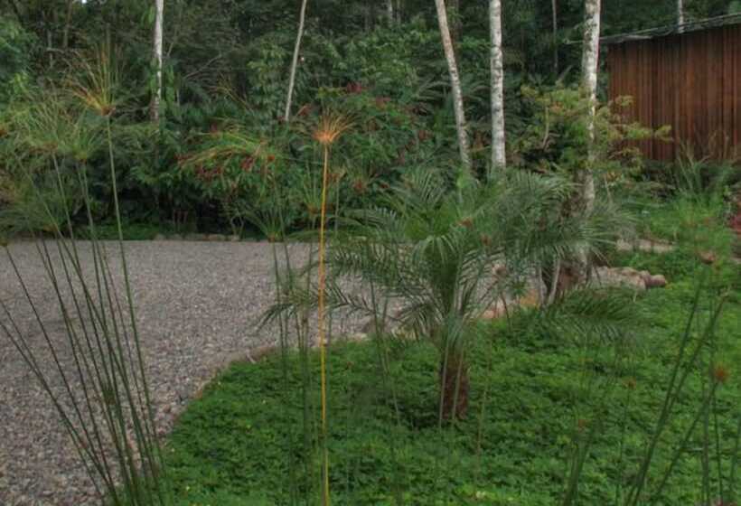 هتل Hamadryade Lodge