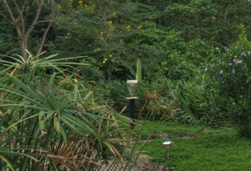 هتل Hamadryade Lodge