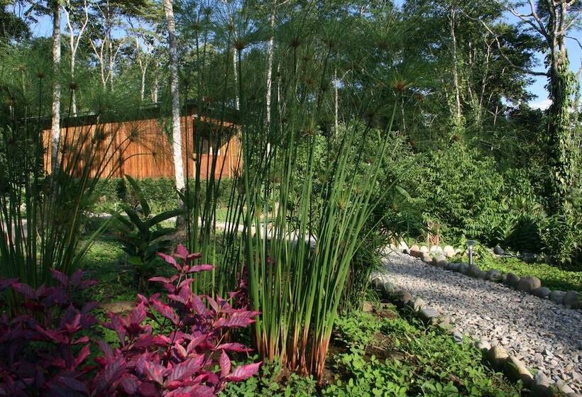 هتل Hamadryade Lodge